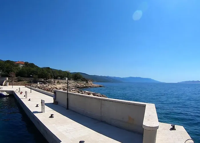 Zo-na * Povile